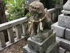 坂本八幡神社の狛犬