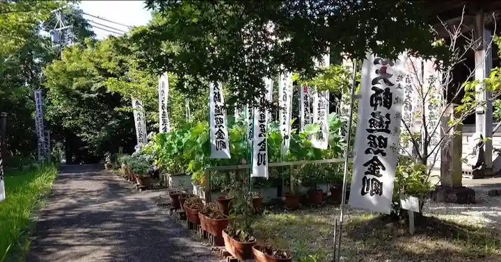 洞雲寺のその他建物