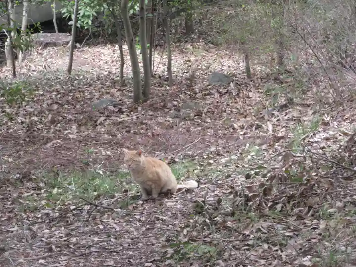 和歌山縣護國神社(和歌山県)
