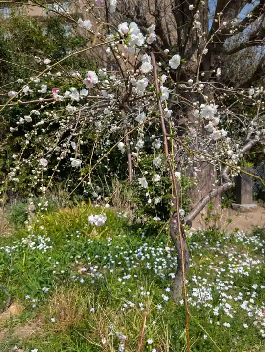 天徳寺(神奈川県)