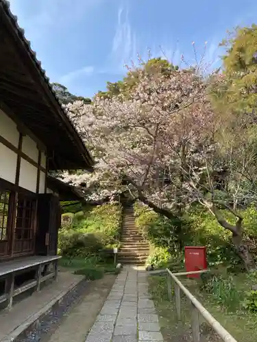浄光明寺のその他建物