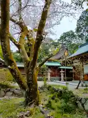 伊太祁曽神社の庭園