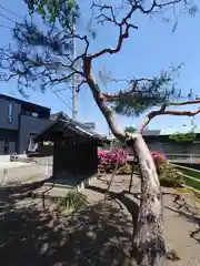 厳島神社(埼玉県)