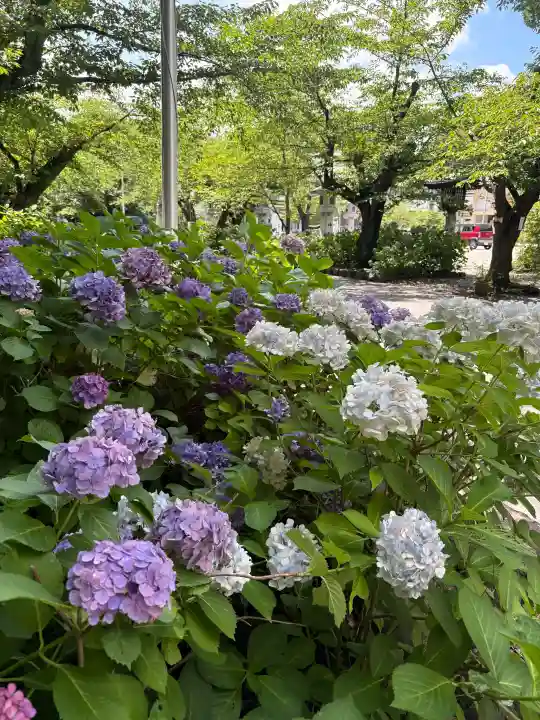 愛知縣護國神社(愛知県)