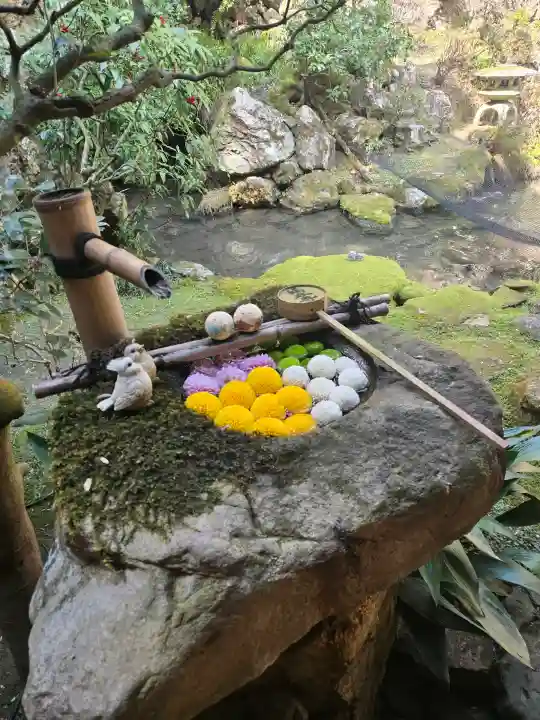 柳谷観音 楊谷寺の{uncategorized: "未分類", other: "その他", undefined: "問題あり", building: "その他建物", grave: "お墓", sacred_gate: "鳥居", guardian: "狛犬", statue: "像", buddha: "仏像", history: "歴史", nature: "自然", garden: "庭園", animal: "動物", pagoda: "塔", temizu: "手水舎", mountain_gate: "山門・神門", sanctuary: "本殿・本堂", subordinate: "末社・摂社", art: "芸術", scenery: "景色", jizo: "地蔵", ema: "絵馬", goshuin: "御朱印", omikuji: "おみくじ", items: "授与品その他", amulet: "お守り", goshuincho: "御朱印帳", eats: "食事", festival: "お祭り", votive_dance: "神楽", shichigosan: "七五三参", wedding: "結婚式", experience: "体験その他", initially: "初詣", around: "周辺", anti_infection: "感染症対策"}