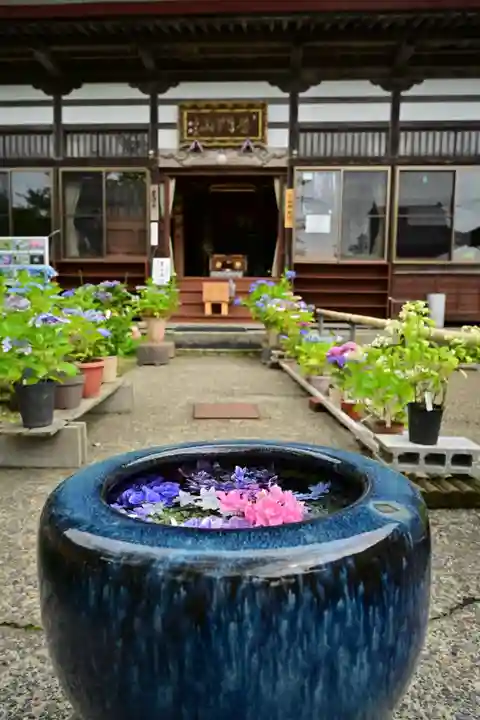 光照寺(新潟県)