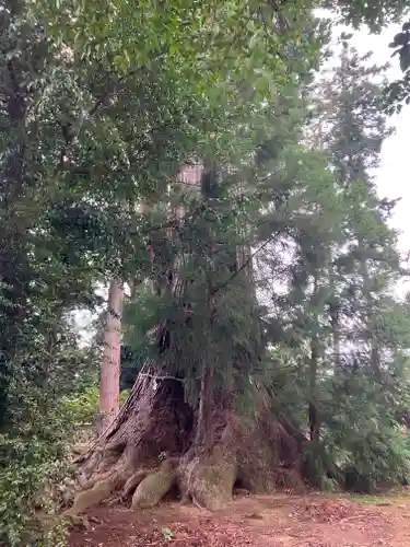 八幡宮(茨城県)