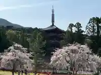 醍醐寺(京都府)