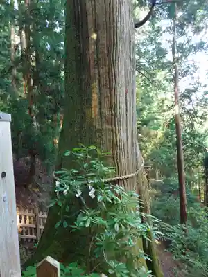 玉置神社(奈良県)