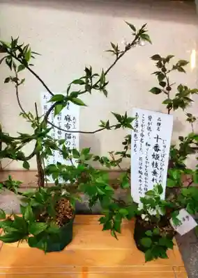 十番稲荷神社(東京都)