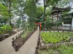 川越八幡宮(埼玉県)