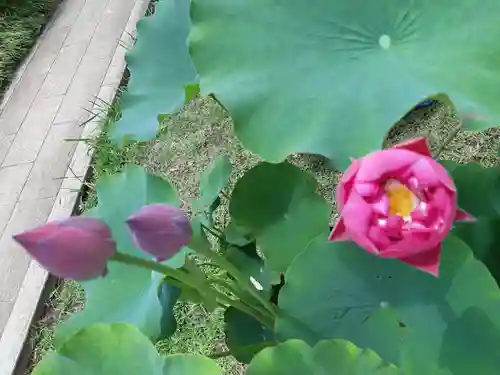 金乘院(千葉県)