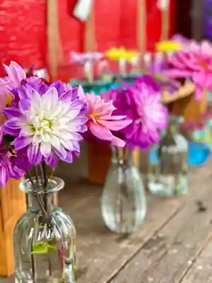 伊達神社(北海道)
