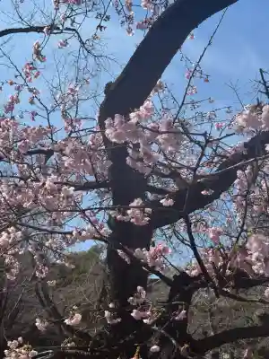 靖國神社(東京都)