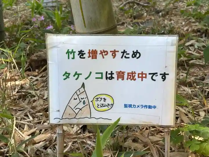 武蔵一宮氷川神社の{uncategorized: "未分類", other: "その他", undefined: "問題あり", building: "その他建物", grave: "お墓", sacred_gate: "鳥居", guardian: "狛犬", statue: "像", buddha: "仏像", history: "歴史", nature: "自然", garden: "庭園", animal: "動物", pagoda: "塔", temizu: "手水舎", mountain_gate: "山門・神門", sanctuary: "本殿・本堂", subordinate: "末社・摂社", art: "芸術", scenery: "景色", jizo: "地蔵", ema: "絵馬", goshuin: "御朱印", omikuji: "おみくじ", items: "授与品その他", amulet: "お守り", goshuincho: "御朱印帳", eats: "食事", festival: "お祭り", votive_dance: "神楽", shichigosan: "七五三参", wedding: "結婚式", experience: "体験その他", initially: "初詣", around: "周辺", anti_infection: "感染症対策"}