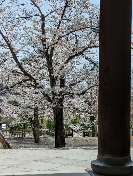 くろ谷 金戒光明寺(京都府)