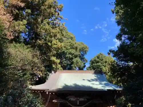 愛宕神社(栃木県)