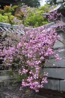 西應寺(滋賀県)