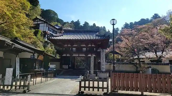 岡寺(龍蓋寺)(奈良県)