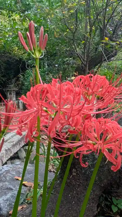 平野神社(京都府)