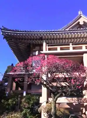 東長谷寺　薬王院(東京都)