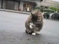 御誕生寺(猫寺)(福井県)