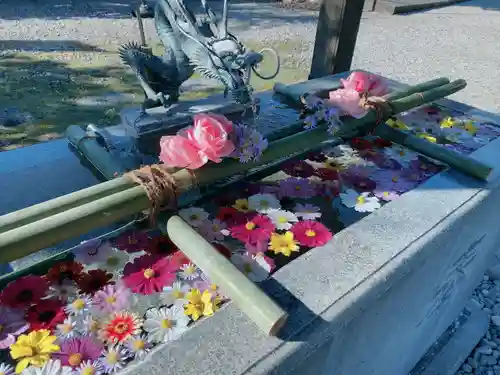今市報徳二宮神社の手水舎