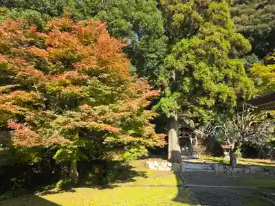 天寧寺(京都府)