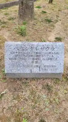 千光寺の{uncategorized: "未分類", other: "その他", undefined: "問題あり", building: "その他建物", grave: "お墓", sacred_gate: "鳥居", guardian: "狛犬", statue: "像", buddha: "仏像", history: "歴史", nature: "自然", garden: "庭園", animal: "動物", pagoda: "塔", temizu: "手水舎", mountain_gate: "山門・神門", sanctuary: "本殿・本堂", subordinate: "末社・摂社", art: "芸術", scenery: "景色", jizo: "地蔵", ema: "絵馬", goshuin: "御朱印", omikuji: "おみくじ", items: "授与品その他", amulet: "お守り", goshuincho: "御朱印帳", eats: "食事", festival: "お祭り", votive_dance: "神楽", shichigosan: "七五三参", wedding: "結婚式", experience: "体験その他", initially: "初詣", around: "周辺", anti_infection: "感染症対策"}