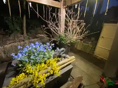 東海市熊野神社の手水舎