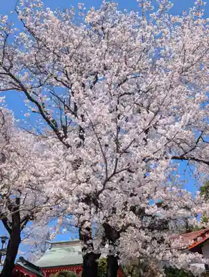 淡島社(神奈川県)