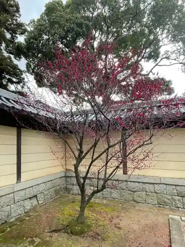 香椎宮の庭園