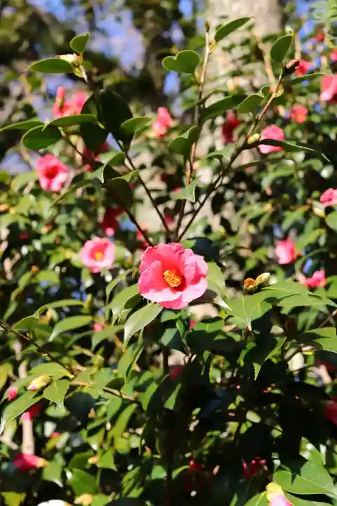 三津厳島神社(愛媛県)
