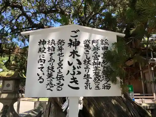 高砂神社の歴史