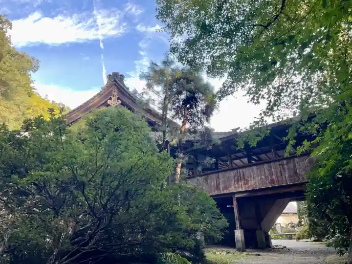 玉泉寺(埼玉県)