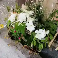 彌彦神社 (伊夜日子神社)(北海道)