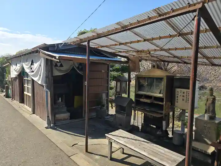 黒長龍王(大阪府)