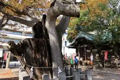 阿邪訶根神社の景色
