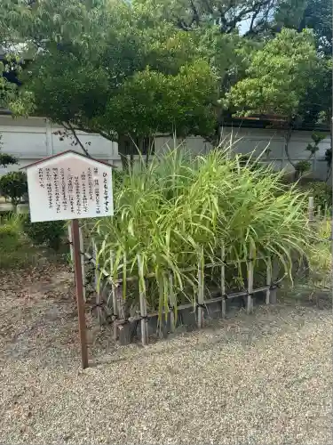 無量寿寺(愛知県)