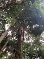 稲生神社(千葉県)