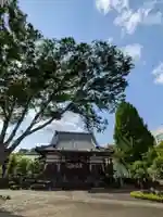 瑞円寺(東京都)