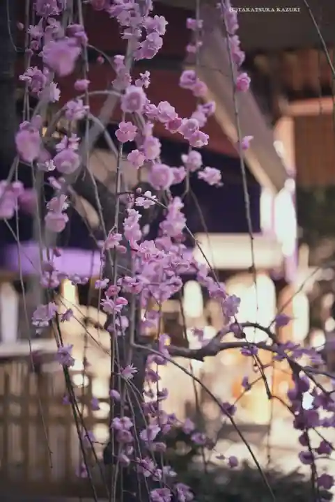 東京大神宮(東京都)