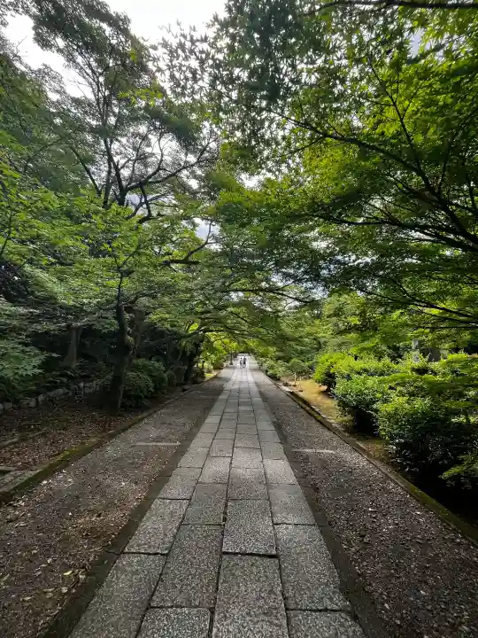 養源院の{uncategorized: "未分類", other: "その他", undefined: "問題あり", building: "その他建物", grave: "お墓", sacred_gate: "鳥居", guardian: "狛犬", statue: "像", buddha: "仏像", history: "歴史", nature: "自然", garden: "庭園", animal: "動物", pagoda: "塔", temizu: "手水舎", mountain_gate: "山門・神門", sanctuary: "本殿・本堂", subordinate: "末社・摂社", art: "芸術", scenery: "景色", jizo: "地蔵", ema: "絵馬", goshuin: "御朱印", omikuji: "おみくじ", items: "授与品その他", amulet: "お守り", goshuincho: "御朱印帳", eats: "食事", festival: "お祭り", votive_dance: "神楽", shichigosan: "七五三参", wedding: "結婚式", experience: "体験その他", initially: "初詣", around: "周辺", anti_infection: "感染症対策"}