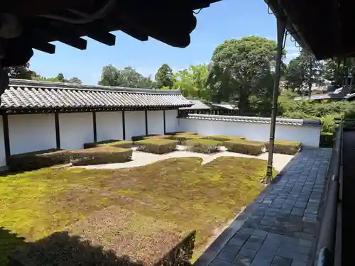 東福禅寺（東福寺）(京都府)