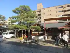 京都ゑびす神社(京都府)