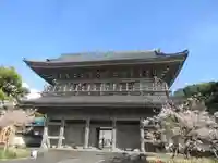 光明寺の山門・神門
