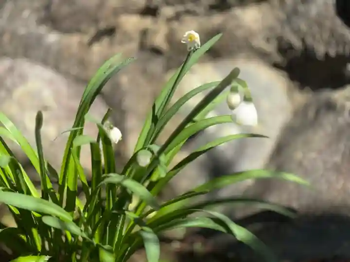 西方山極楽寺(岐阜県)