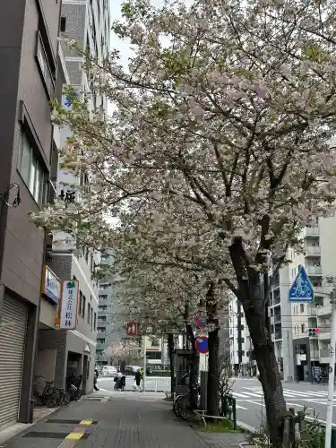 鷲神社の{uncategorized: "未分類", other: "その他", undefined: "問題あり", building: "その他建物", grave: "お墓", sacred_gate: "鳥居", guardian: "狛犬", statue: "像", buddha: "仏像", history: "歴史", nature: "自然", garden: "庭園", animal: "動物", pagoda: "塔", temizu: "手水舎", mountain_gate: "山門・神門", sanctuary: "本殿・本堂", subordinate: "末社・摂社", art: "芸術", scenery: "景色", jizo: "地蔵", ema: "絵馬", goshuin: "御朱印", omikuji: "おみくじ", items: "授与品その他", amulet: "お守り", goshuincho: "御朱印帳", eats: "食事", festival: "お祭り", votive_dance: "神楽", shichigosan: "七五三参", wedding: "結婚式", experience: "体験その他", initially: "初詣", around: "周辺", anti_infection: "感染症対策"}