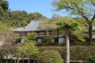 光蓮寺の本殿・本堂