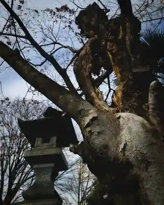 高﨑神社(群馬県)